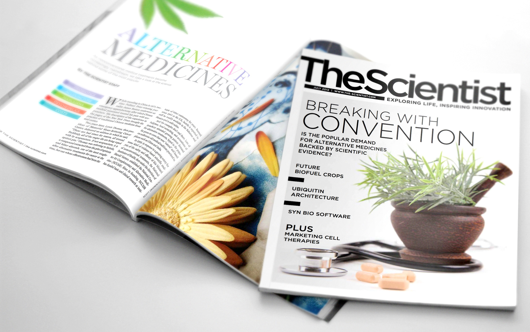 Alternative Medicines