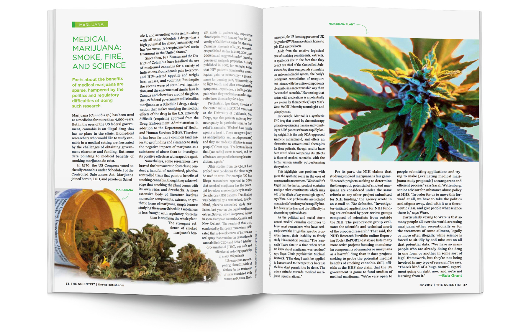Alternative Medicines