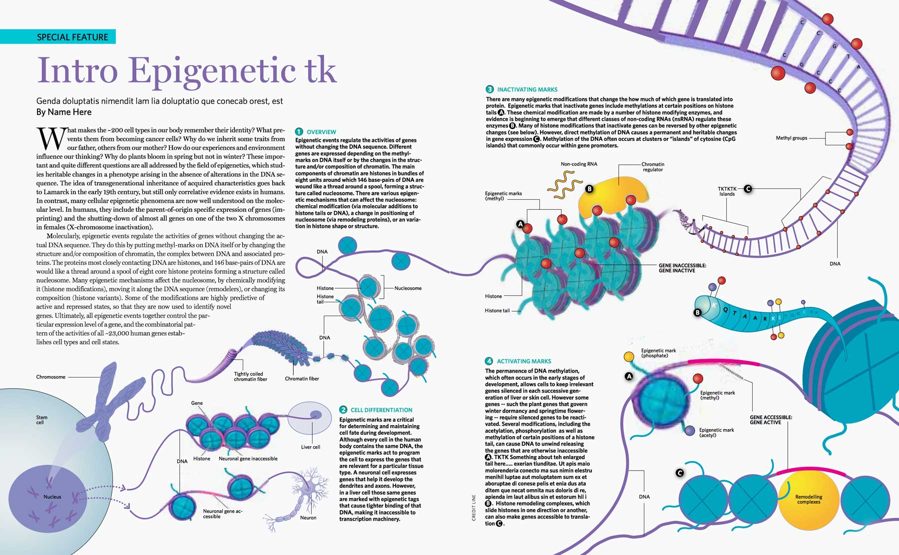 Epigenetics_Sketch