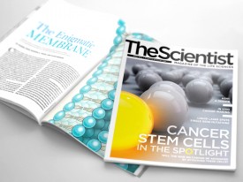 The Scientist Magazine redesign