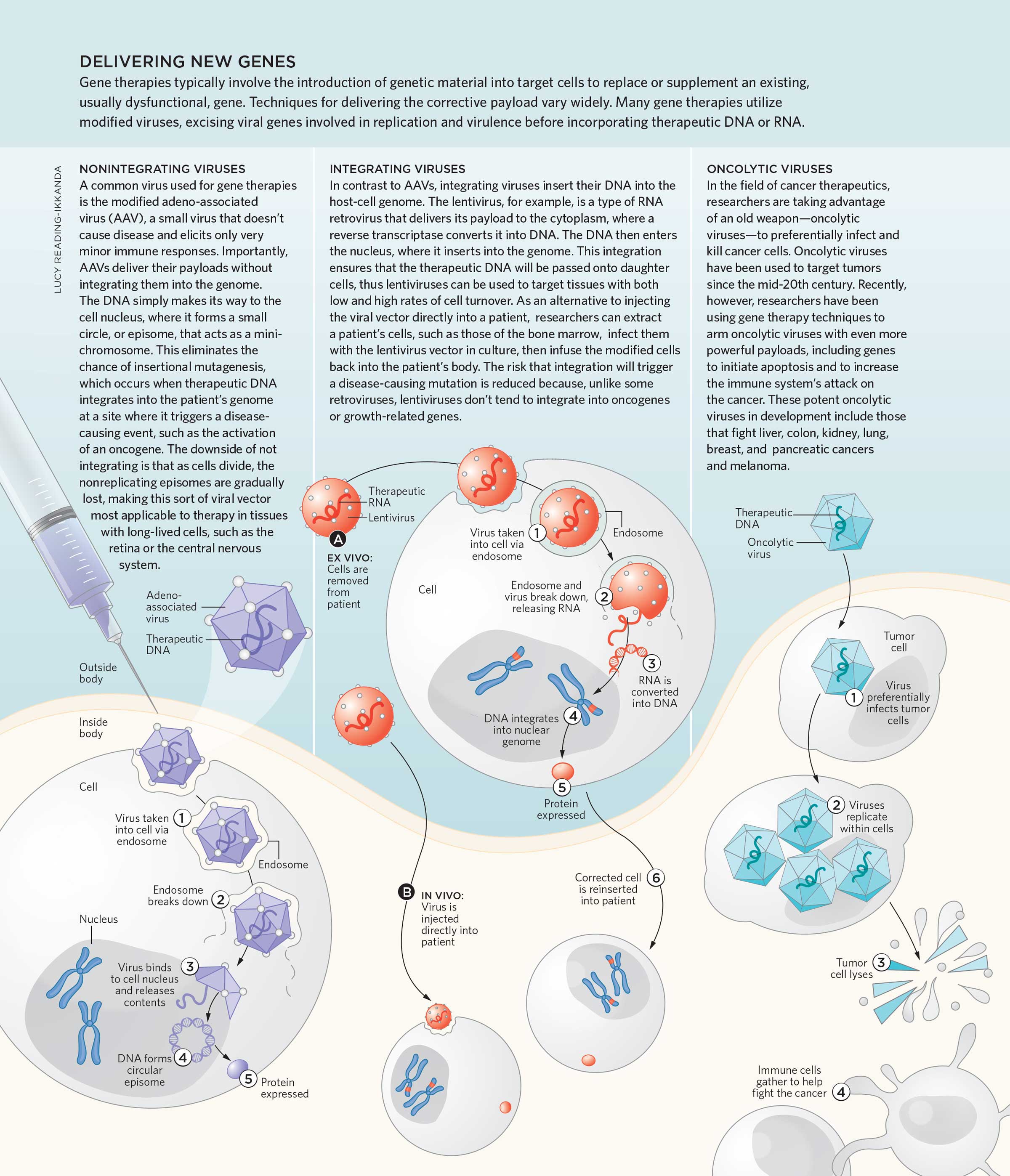 TheScientist_GeneTherapies