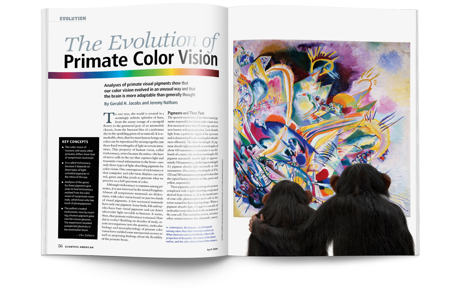 Color vision