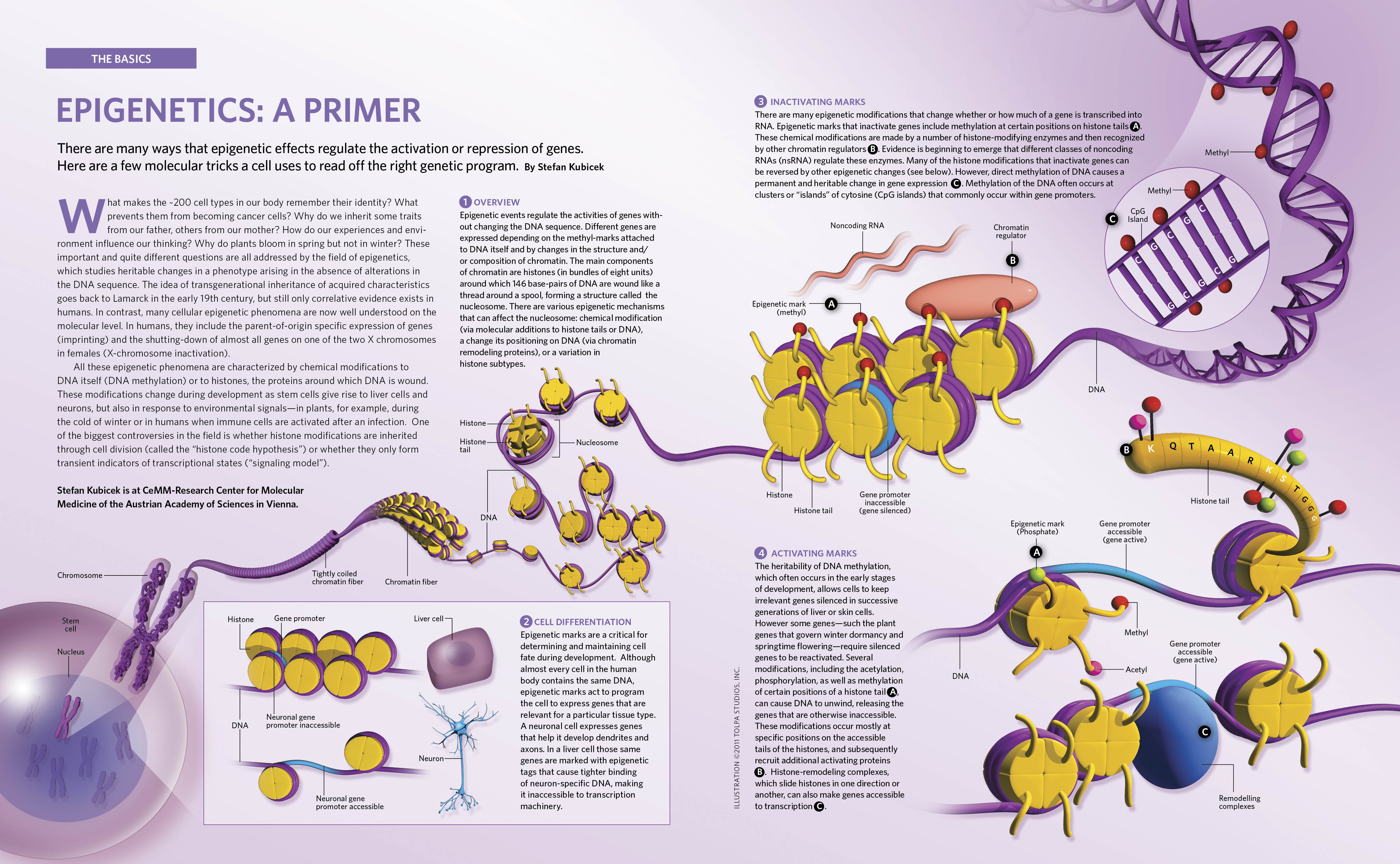 EpigeneticsFIN