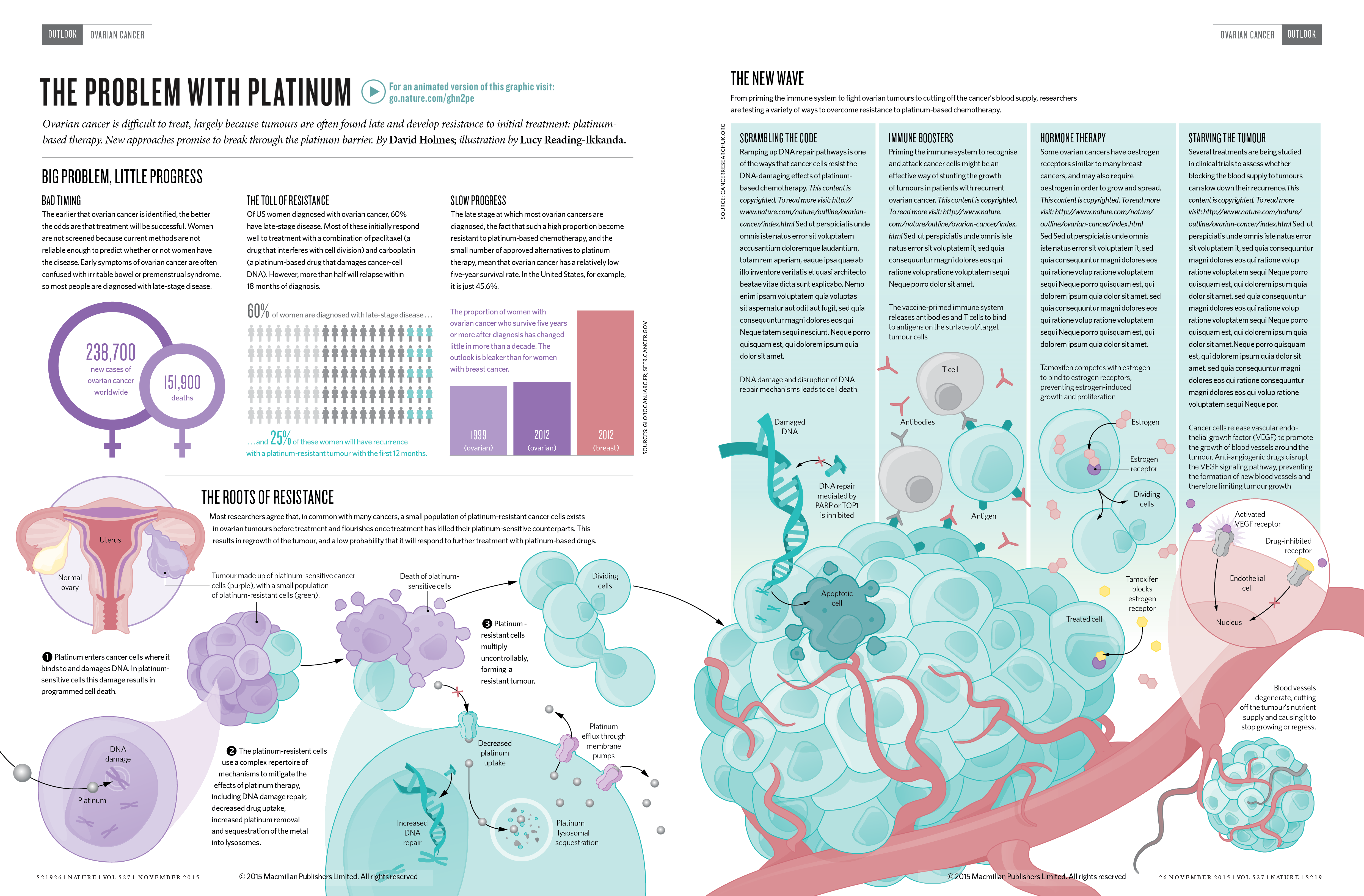 Ovarian Cancer