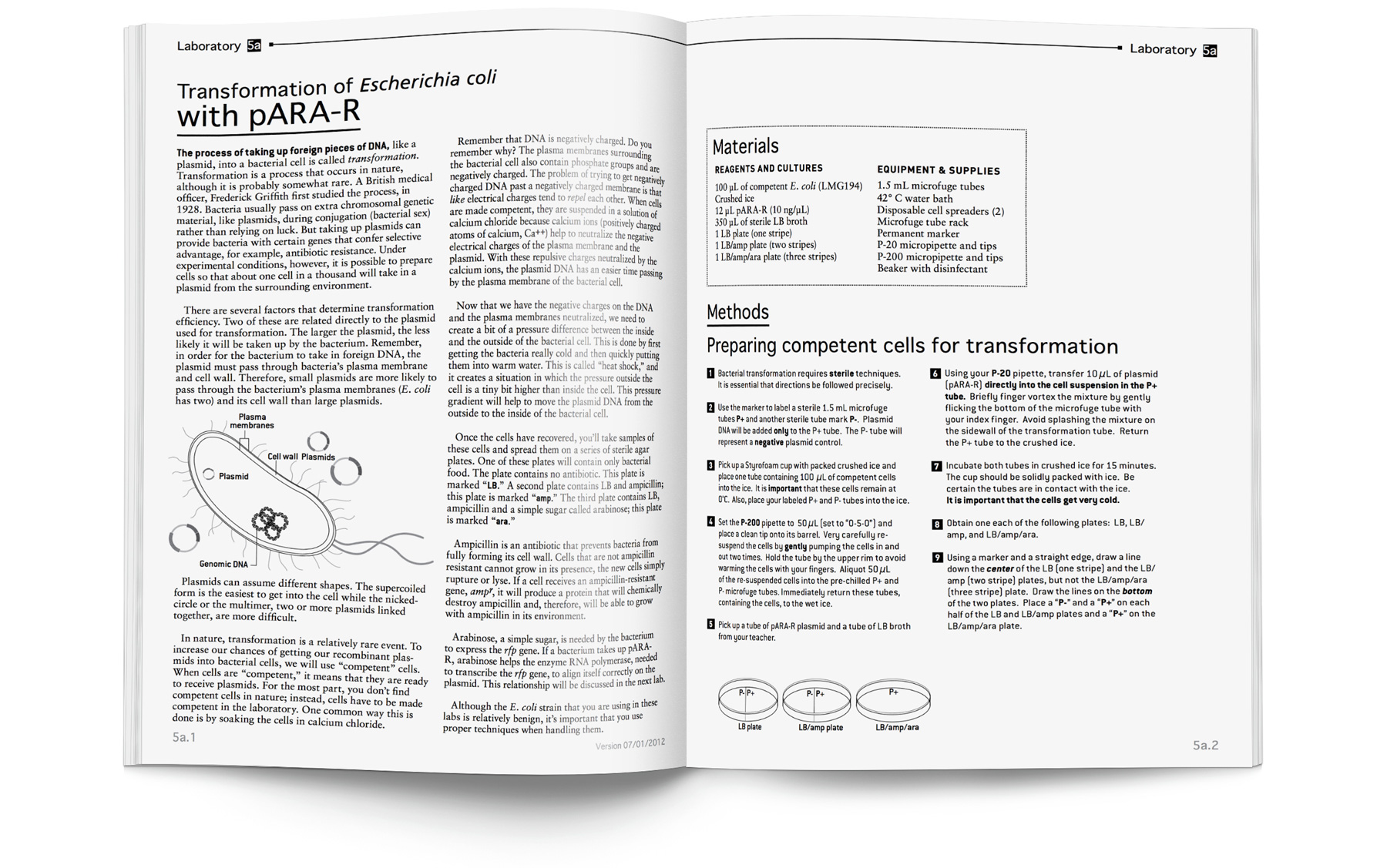 Amgen biotech lab guide