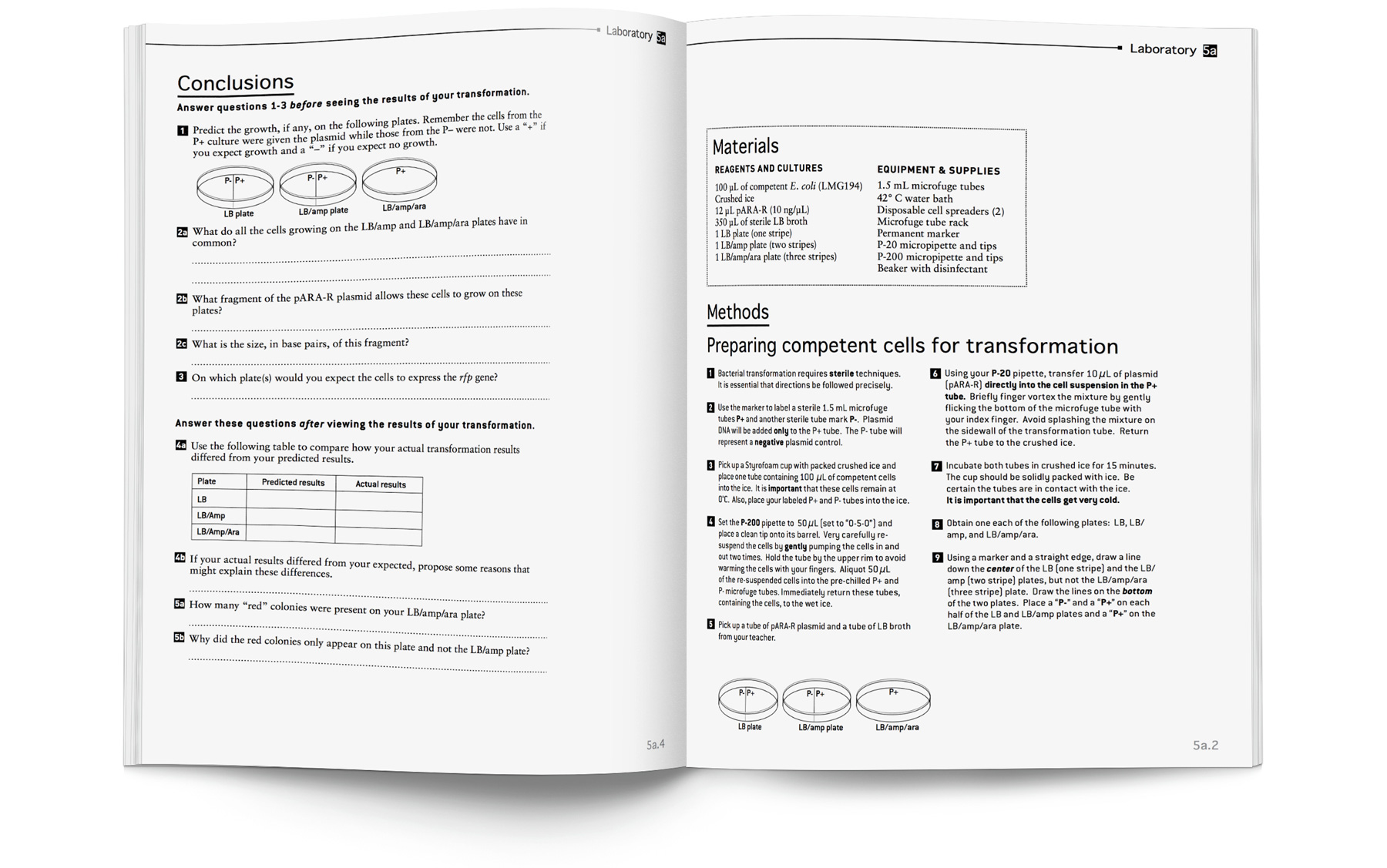 Amgen biotech lab guide